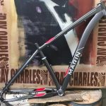 marin palisades 29er